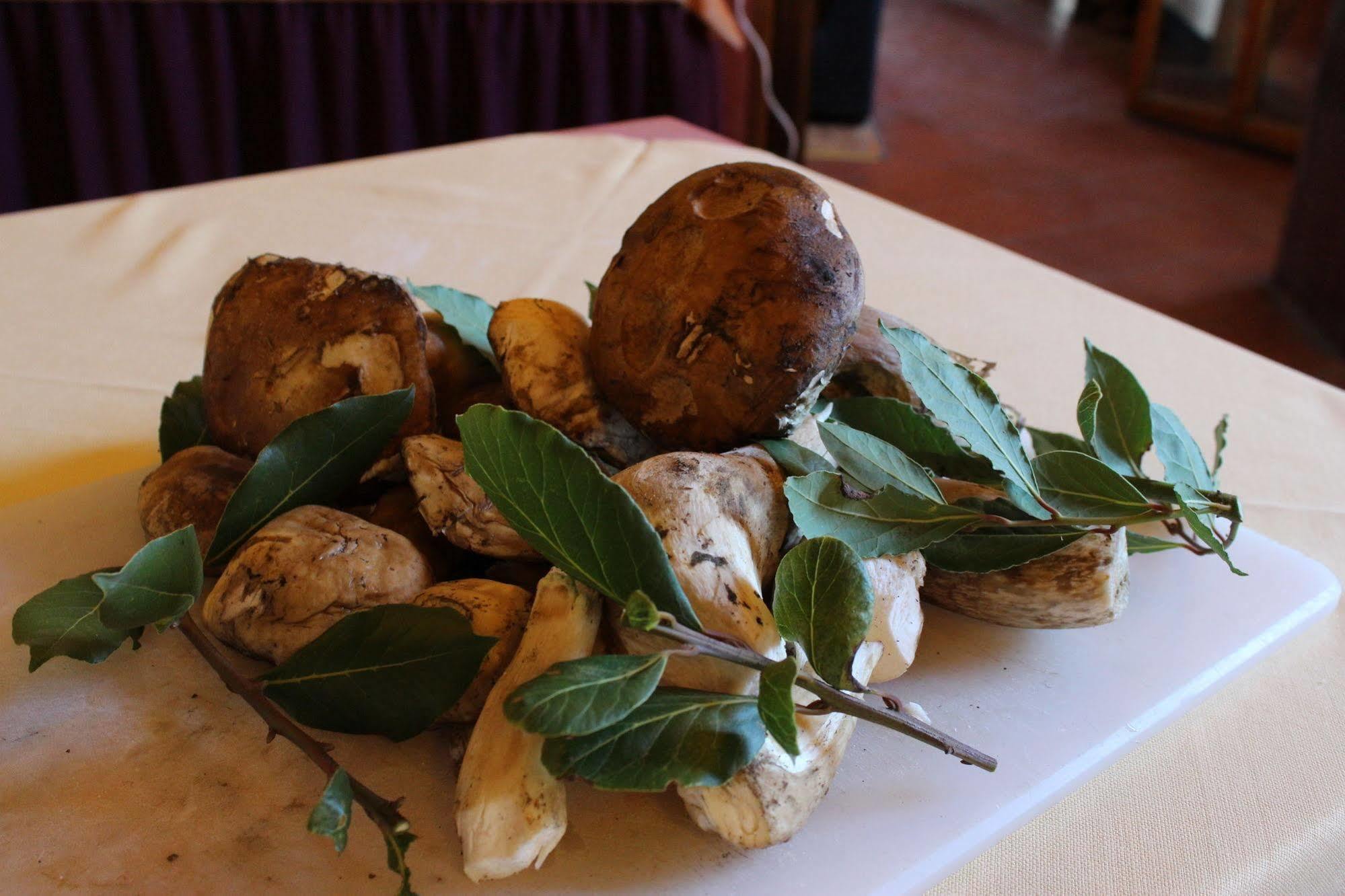 Albergo La Pieve Castelfiorentino Exteriör bild